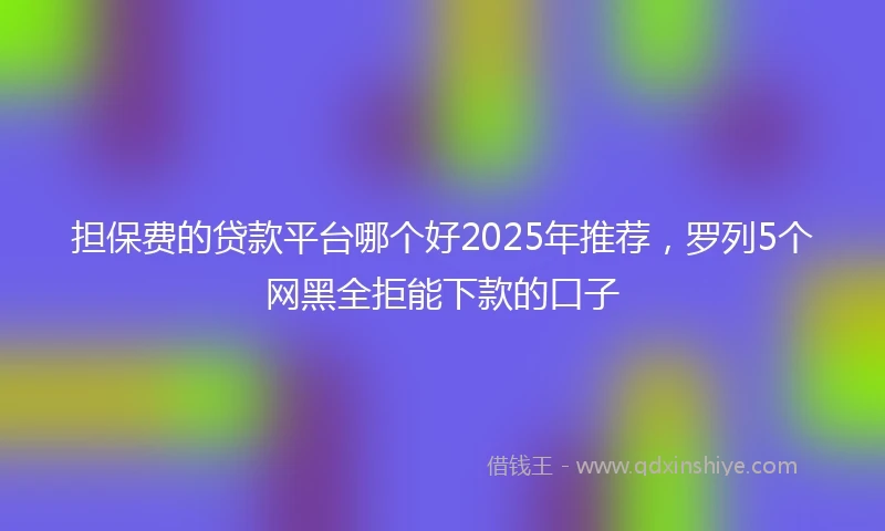 担保费的贷款平台哪个好2025年推荐，罗列5个网黑全拒能下款的口子