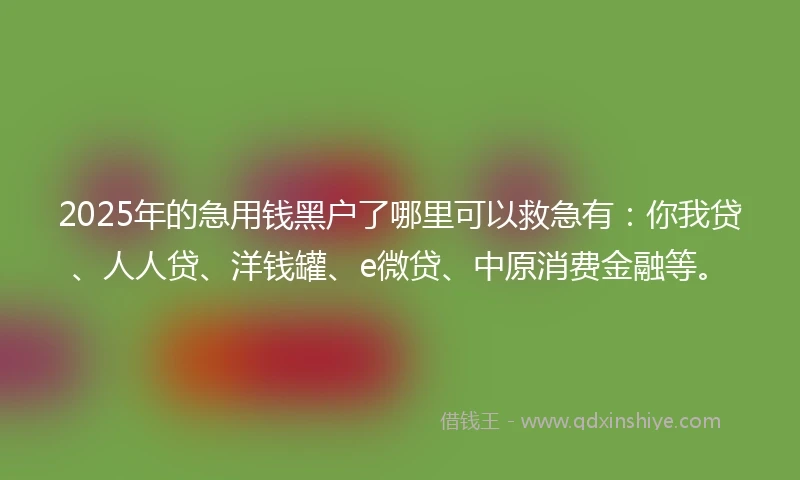 2025年的急用钱黑户了哪里可以救急有：你我贷、人人贷、洋钱罐、e微贷、中原消费金融等。