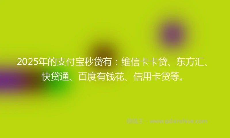 2025年的支付宝秒贷有：维信卡卡贷、东方汇、快贷通、百度有钱花、信用卡贷等。