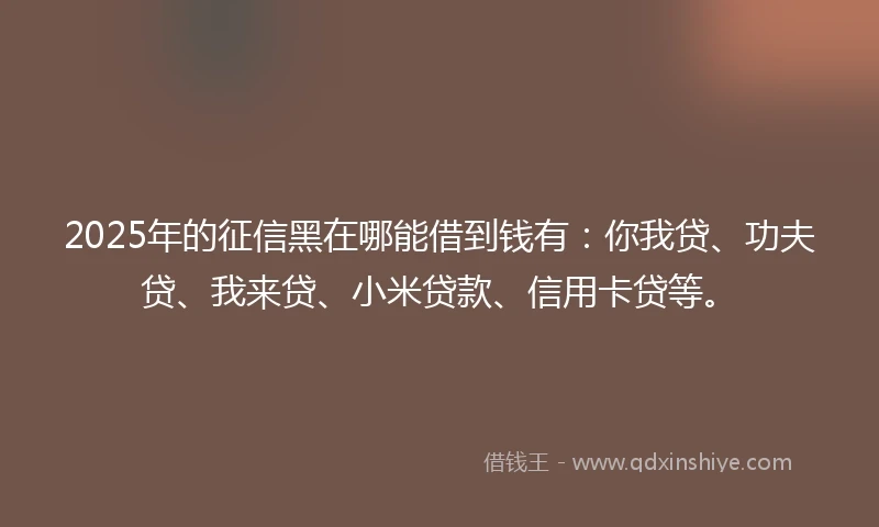 2025年的征信黑在哪能借到钱有：你我贷、功夫贷、我来贷、小米贷款、信用卡贷等。
