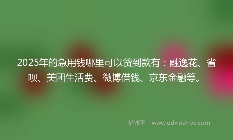 2025年的急用钱哪里可以贷到款有：融逸花、省呗、美团生活费、微博借钱、京东金融等。
