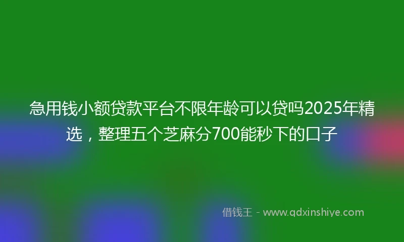 急用钱小额贷款平台不限年龄可以贷吗2025年精选，整理五个芝麻分700能秒下的口子