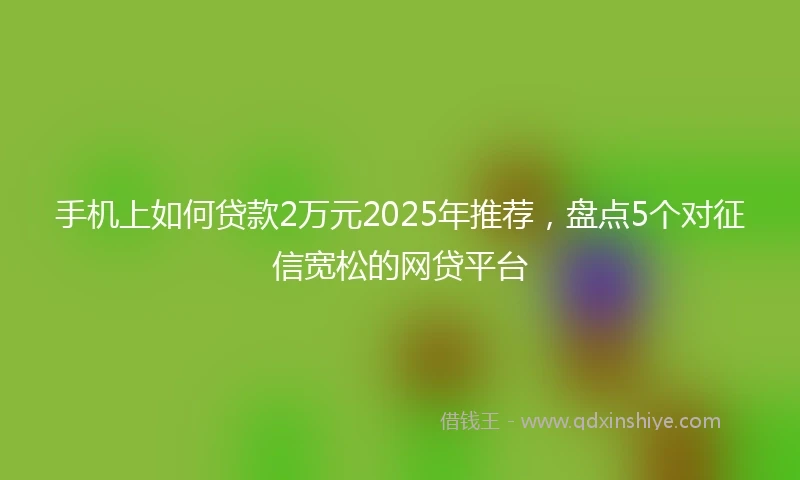 手机上如何贷款2万元2025年推荐，盘点5个对征信宽松的网贷平台