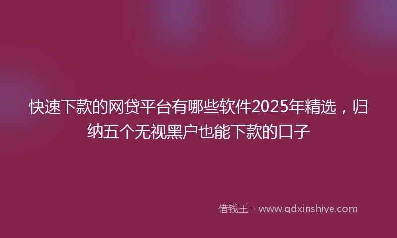 快速下款的网贷平台有哪些软件2025年精选，归纳五个无视黑户也能下款的口子