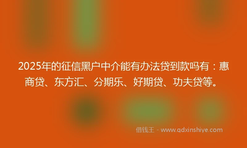 2025年的征信黑户中介能有办法贷到款吗有：惠商贷、东方汇、分期乐、好期贷、功夫贷等。