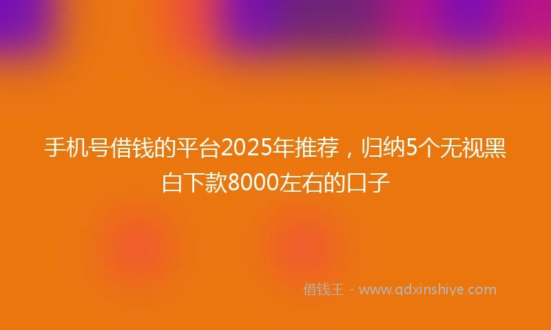 手机号借钱的平台2025年推荐，归纳5个无视黑白下款8000左右的口子