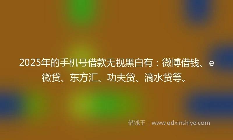2025年的手机号借款无视黑白有：微博借钱、e微贷、东方汇、功夫贷、滴水贷等。