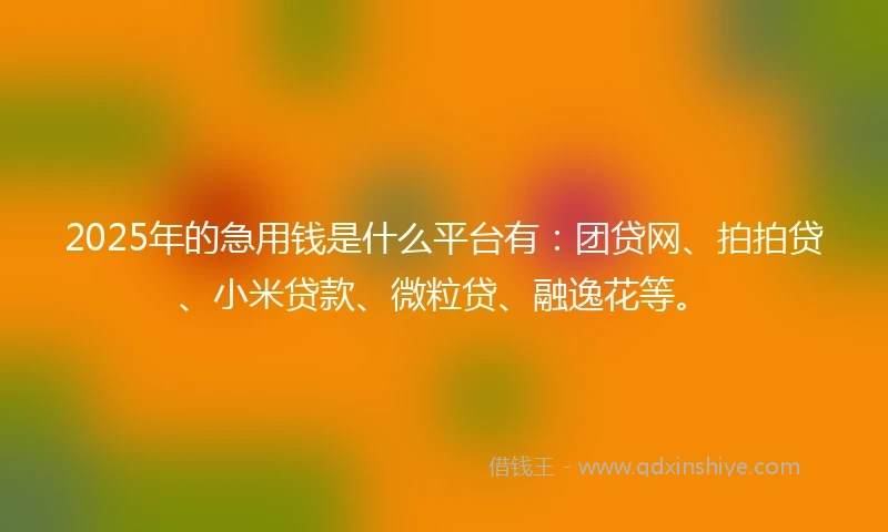 2025年的急用钱是什么平台有：团贷网、拍拍贷、小米贷款、微粒贷、融逸花等。