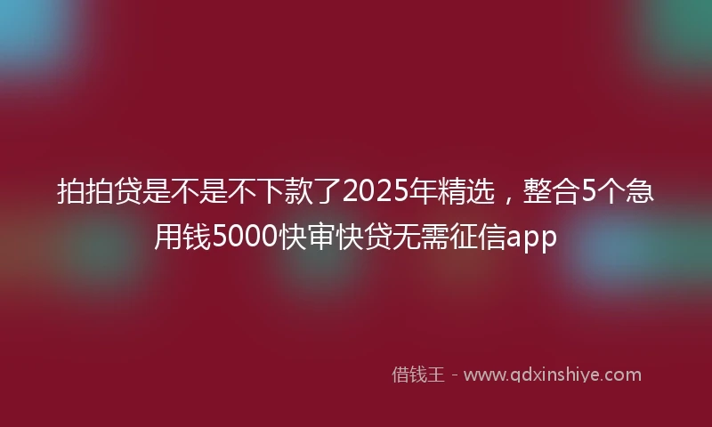 拍拍贷是不是不下款了2025年精选，整合5个急用钱5000快审快贷无需征信app