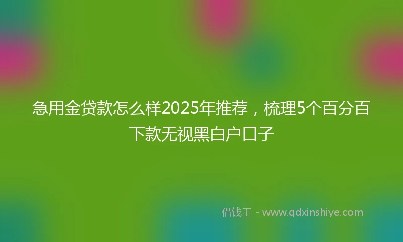 急用金贷款怎么样2025年推荐，梳理5个百分百下款无视黑白户口子