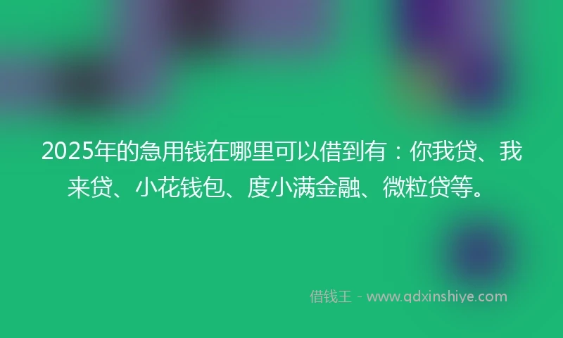 2025年的急用钱在哪里可以借到有：你我贷、我来贷、小花钱包、度小满金融、微粒贷等。