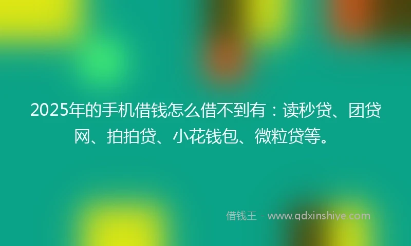 2025年的手机借钱怎么借不到有：读秒贷、团贷网、拍拍贷、小花钱包、微粒贷等。