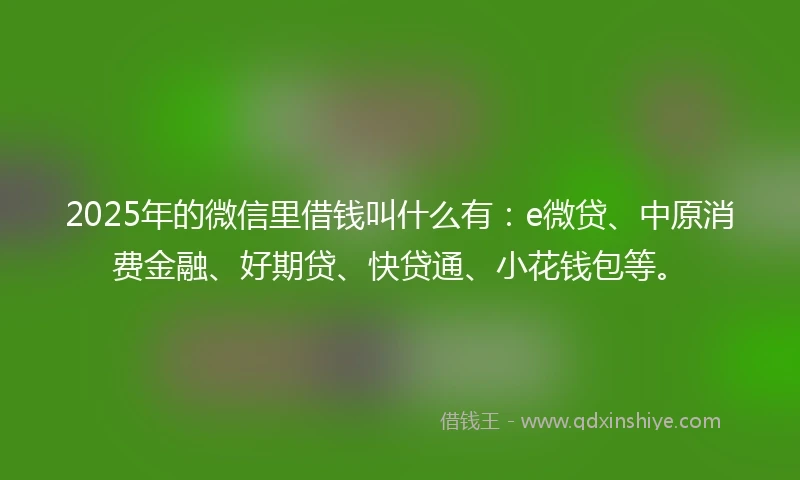 2025年的微信里借钱叫什么有：e微贷、中原消费金融、好期贷、快贷通、小花钱包等。