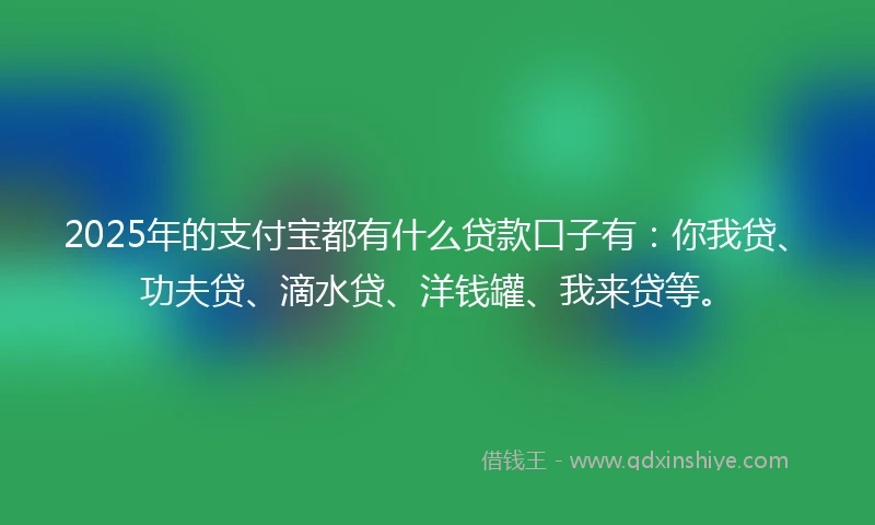 2025年的支付宝都有什么贷款口子有：你我贷、功夫贷、滴水贷、洋钱罐、我来贷等。