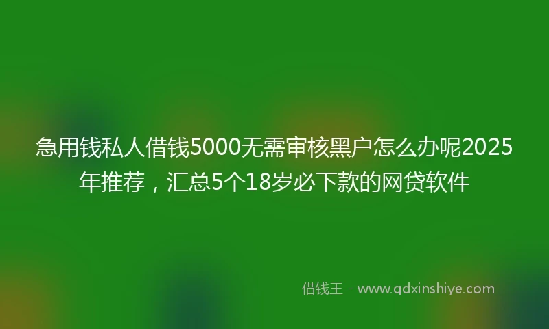 急用钱私人借钱5000无需审核黑户怎么办呢2025年推荐,汇总5个18岁必下款的网贷软件