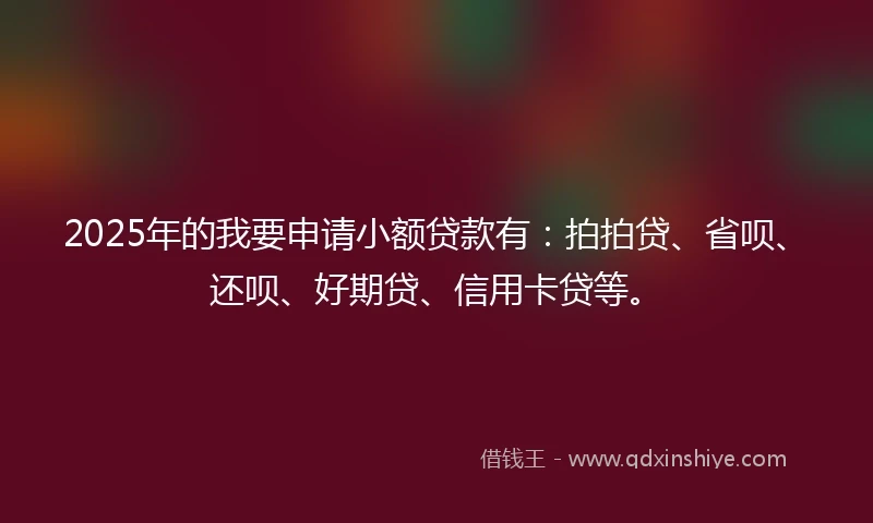 2025年的我要申请小额贷款有：拍拍贷、省呗、还呗、好期贷、信用卡贷等。