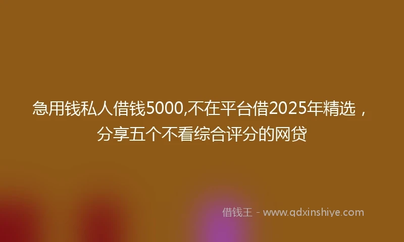 急用钱私人借钱5000,不在平台借2025年精选，分享五个不看综合评分的网贷