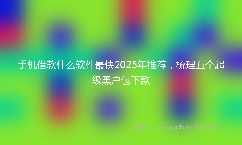 手机借款什么软件最快2025年推荐，梳理五个超级黑户包下款