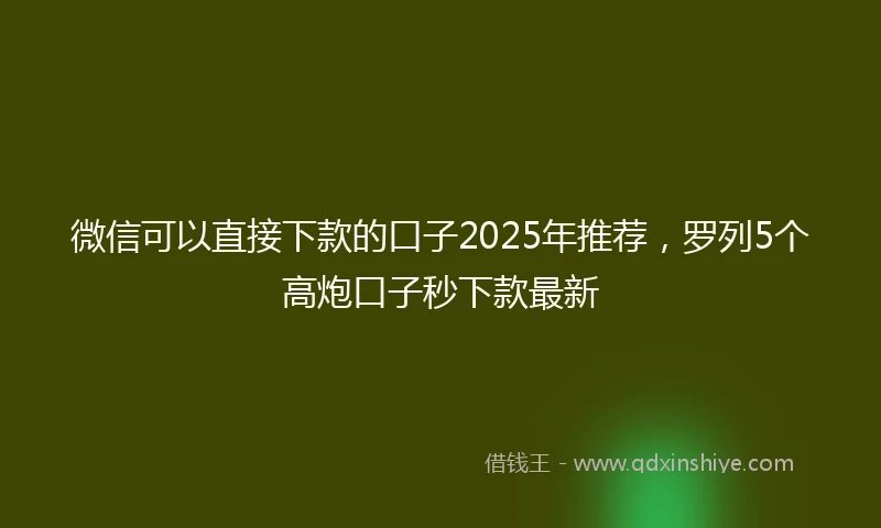 微信可以直接下款的口子2025年推荐，罗列5个高炮口子秒下款最新