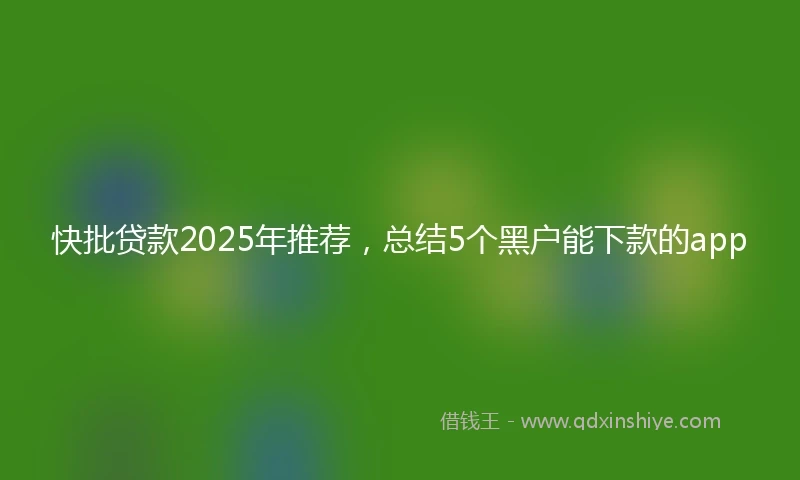 快批贷款2025年推荐，总结5个黑户能下款的app
