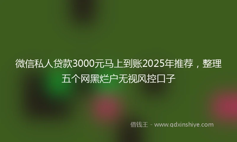 微信私人贷款3000元马上到账2025年推荐，整理五个网黑烂户无视风控口子