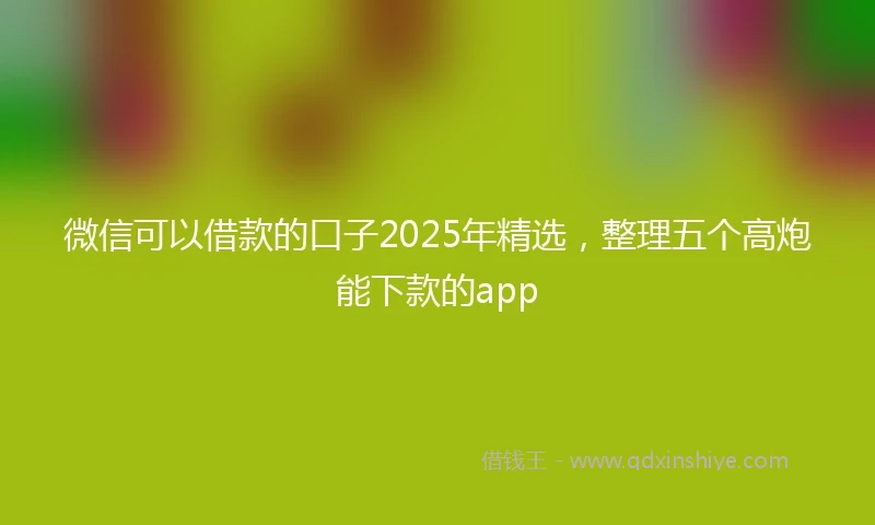 微信可以借款的口子2025年精选，整理五个高炮能下款的app