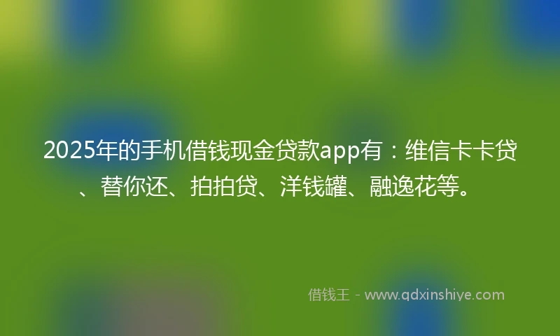 2025年的手机借钱现金贷款app有：维信卡卡贷、替你还、拍拍贷、洋钱罐、融逸花等。