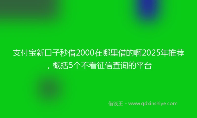 支付宝新口子秒借2000在哪里借的啊2025年推荐，概括5个不看征信查询的平台