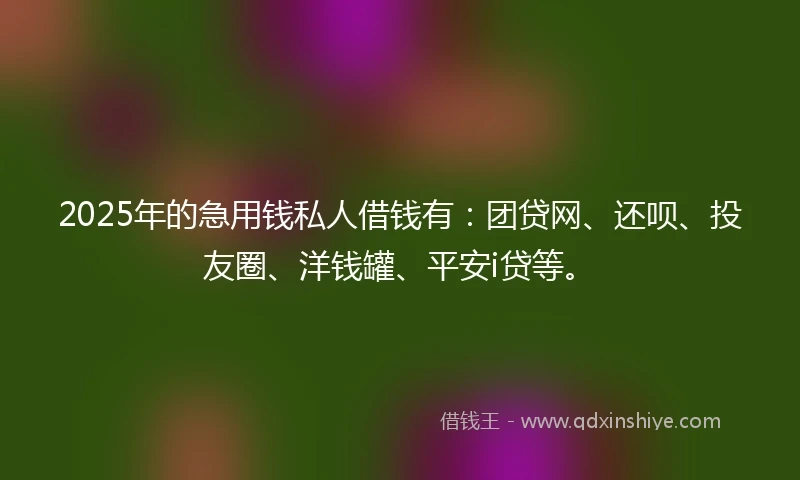 2025年的急用钱私人借钱有：团贷网、还呗、投友圈、洋钱罐、平安i贷等。