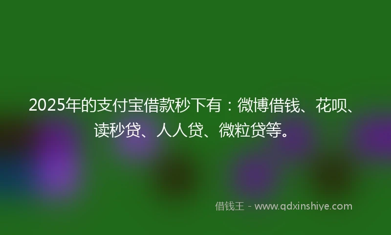 2025年的支付宝借款秒下有：微博借钱、花呗、读秒贷、人人贷、微粒贷等。
