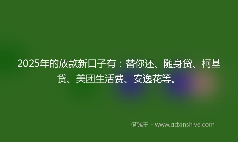 2025年的放款新口子有：替你还、随身贷、柯基贷、美团生活费、安逸花等。