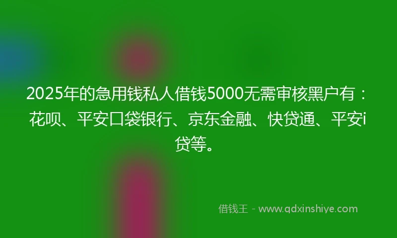 2025年的急用钱私人借钱5000无需审核黑户有：花呗、平安口袋银行、京东金融、快贷通、平安i贷等。