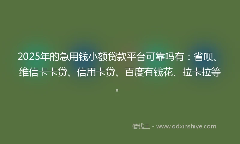 2025年的急用钱小额贷款平台可靠吗有：省呗、维信卡卡贷、信用卡贷、百度有钱花、拉卡拉等。