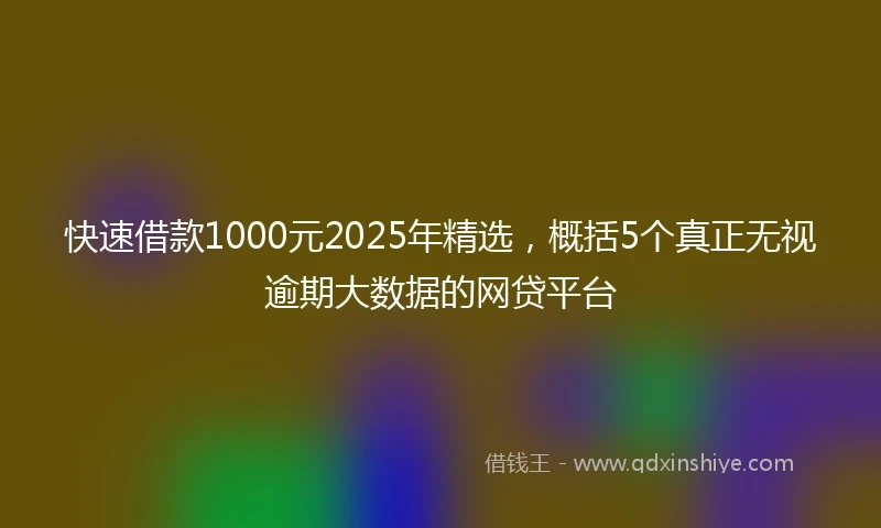 快速借款1000元2025年精选，概括5个真正无视逾期大数据的网贷平台