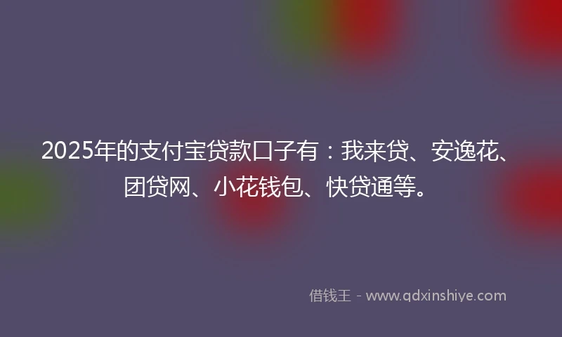 2025年的支付宝贷款口子有：我来贷、安逸花、团贷网、小花钱包、快贷通等。