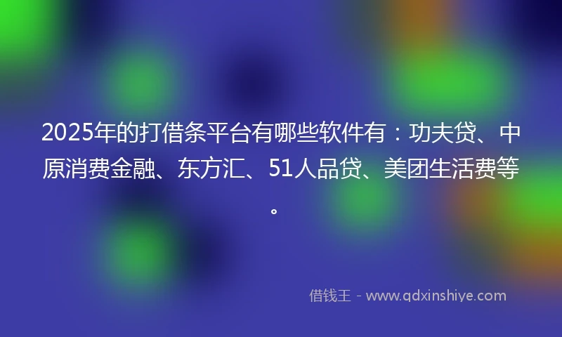 2025年的打借条平台有哪些软件有：功夫贷、中原消费金融、东方汇、51人品贷、美团生活费等。