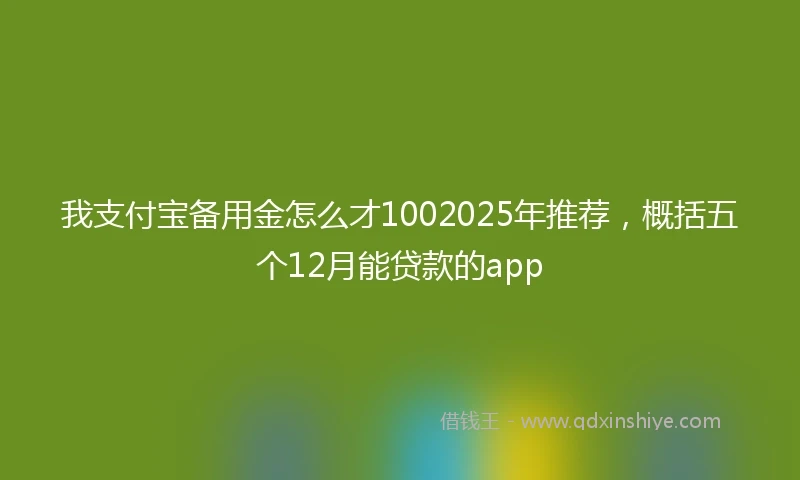 我支付宝备用金怎么才1002025年推荐，概括五个12月能贷款的app