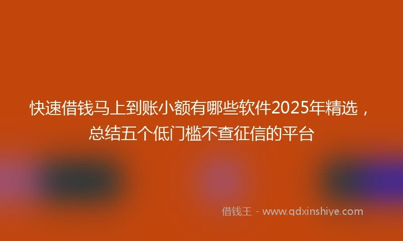 快速借钱马上到账小额有哪些软件2025年精选，总结五个低门槛不查征信的平台