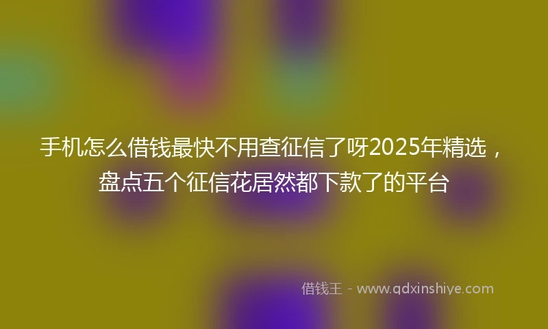 手机怎么借钱最快不用查征信了呀2025年精选，盘点五个征信花居然都下款了的平台