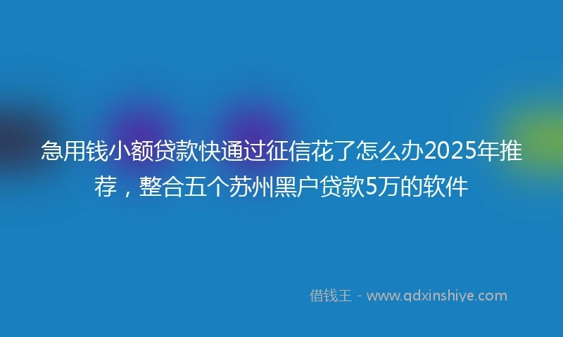 急用钱小额贷款快通过征信花了怎么办2025年推荐，整合五个苏州黑户贷款5万的软件