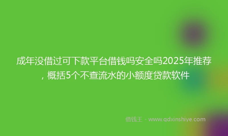 成年没借过可下款平台借钱吗安全吗2025年推荐，概括5个不查流水的小额度贷款软件