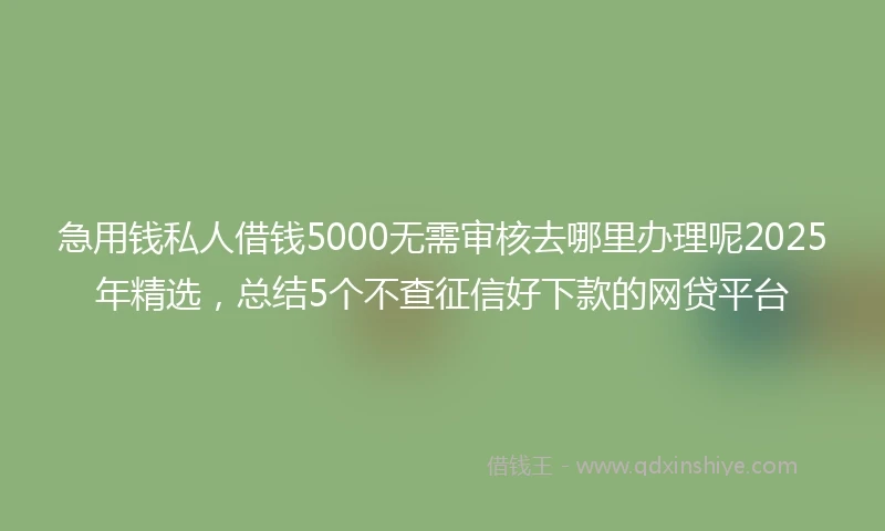 急用钱私人借钱5000无需审核去哪里办理呢2025年精选，总结5个不查征信好下款的网贷平台