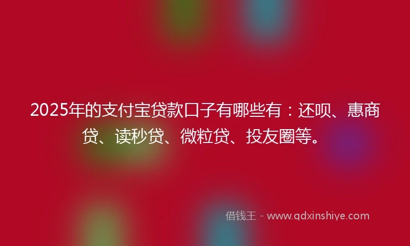2025年的支付宝贷款口子有哪些有：还呗、惠商贷、读秒贷、微粒贷、投友圈等。