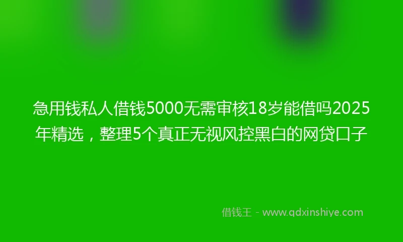 急用钱私人借钱5000无需审核18岁能借吗2025年精选，整理5个真正无视风控黑白的网贷口子