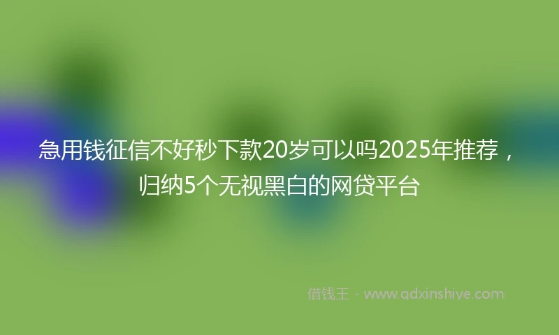 急用钱征信不好秒下款20岁可以吗2025年推荐，归纳5个无视黑白的网贷平台