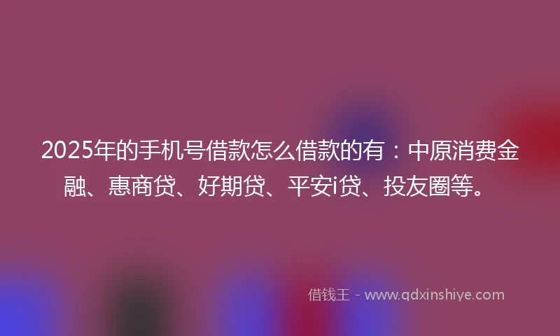 2025年的手机号借款怎么借款的有：中原消费金融、惠商贷、好期贷、平安i贷、投友圈等。