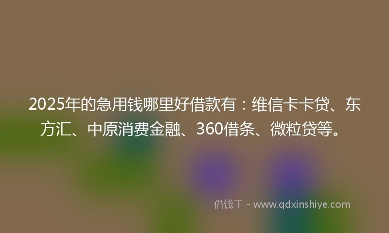 2025年的急用钱哪里好借款有：维信卡卡贷、东方汇、中原消费金融、360借条、微粒贷等。