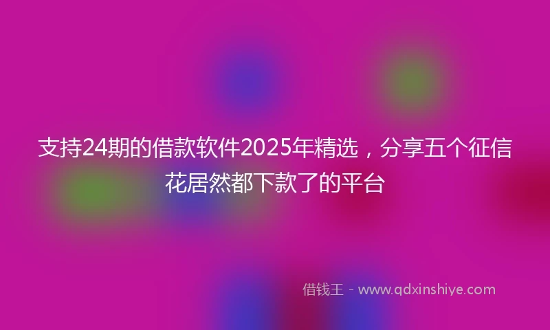 支持24期的借款软件2025年精选，分享五个征信花居然都下款了的平台