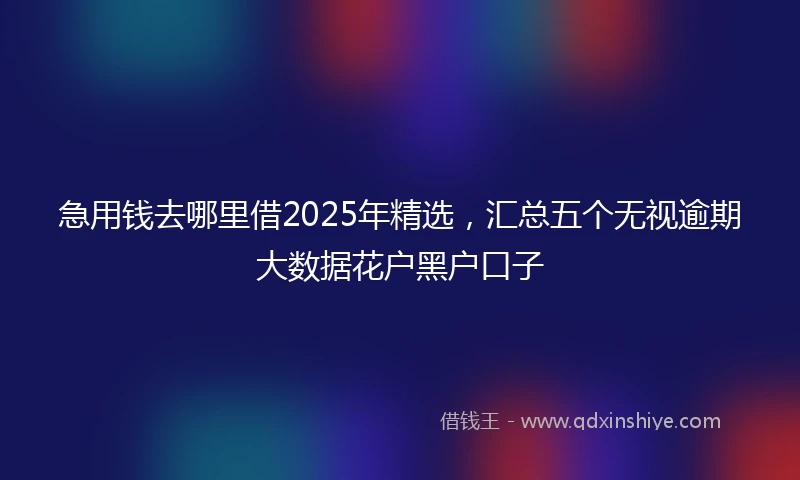 急用钱去哪里借2025年精选，汇总五个无视逾期大数据花户黑户口子