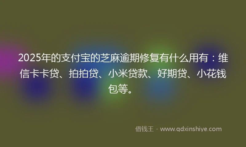 2025年的支付宝的芝麻逾期修复有什么用有：维信卡卡贷、拍拍贷、小米贷款、好期贷、小花钱包等。